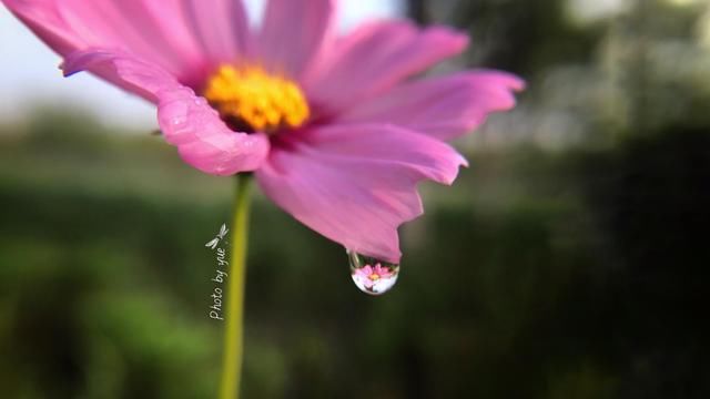 t010d39459749136cfb.jpg?size=640x360