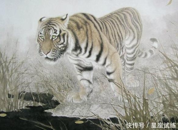 上等命格,这4大生肖命不该穷,后天多努力,大富