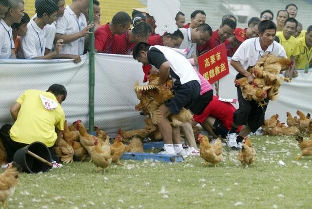 谋南粤农民体育发展 促乡村振兴战略实施