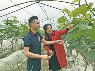 海曙区古林镇水果基地负责人夏安琴: 十年磨剑