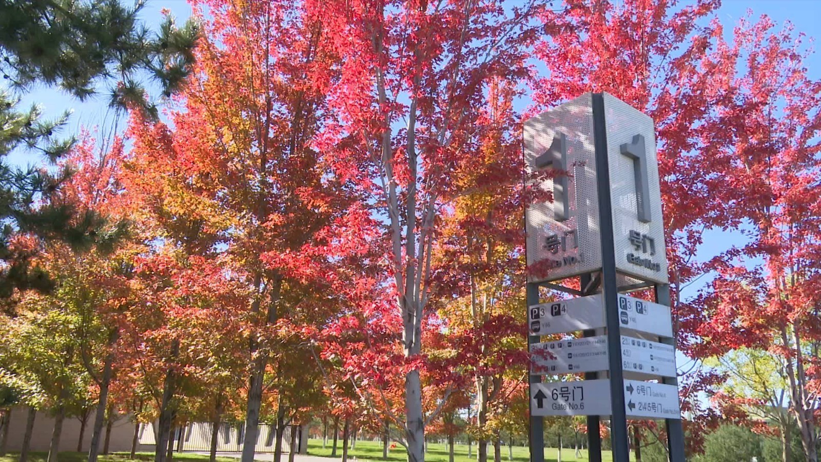 世园公园现秋日美景京郊乐享 红叶生态文化节 雪花新闻