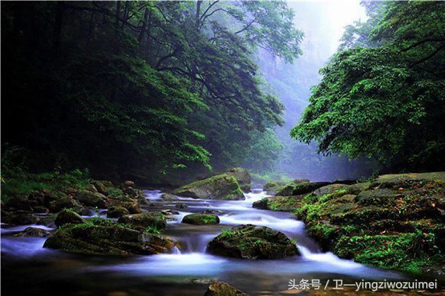 8月去哪旅游最合适?张家界森林公园有哪些精