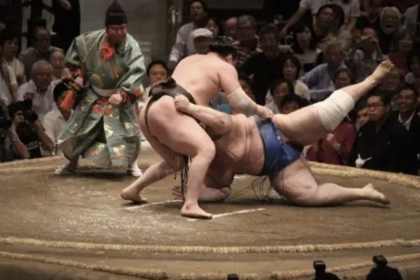 日本白富美为何争着嫁给相扑手 日本白富美为何争着嫁给相扑手