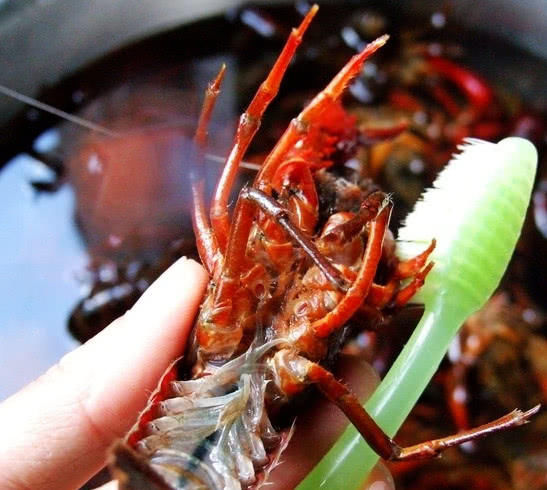 跟风抖音,5斤小龙虾扔进洗衣机,结果意想不到