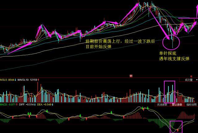 节能环保白马股暴跌50%,22家主力机构疯狂抢
