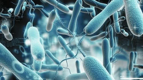 幽门螺旋杆菌吃什么食物?这5种食物坚持吃,呵