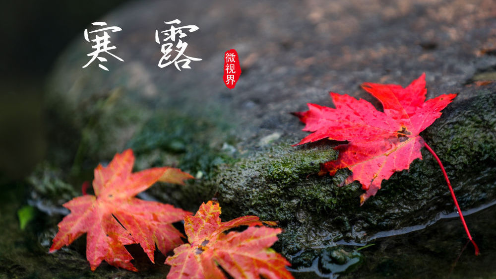 今日，寒露！风凉气清，莫忘添衣保暖~2个动作教你掌握寒露养生妙招→