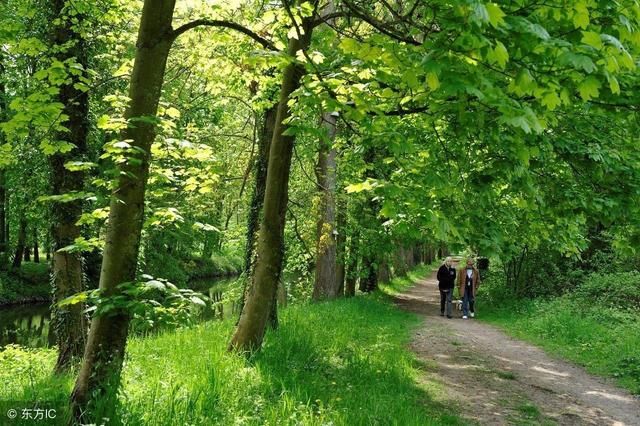 经典诗词 曾几的三衢道中