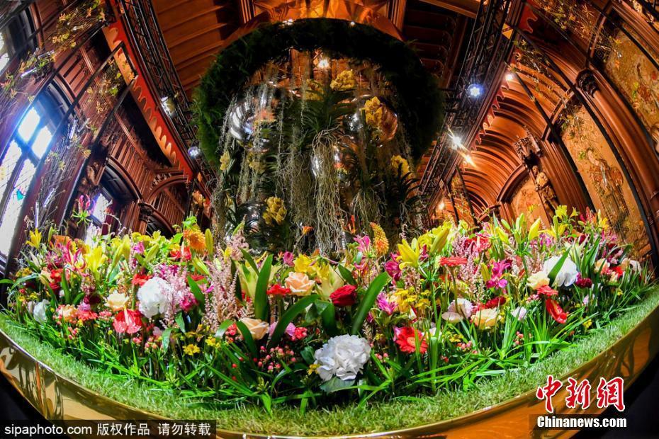 走进“花花世界” 比利时布鲁塞尔市政厅花艺展举行