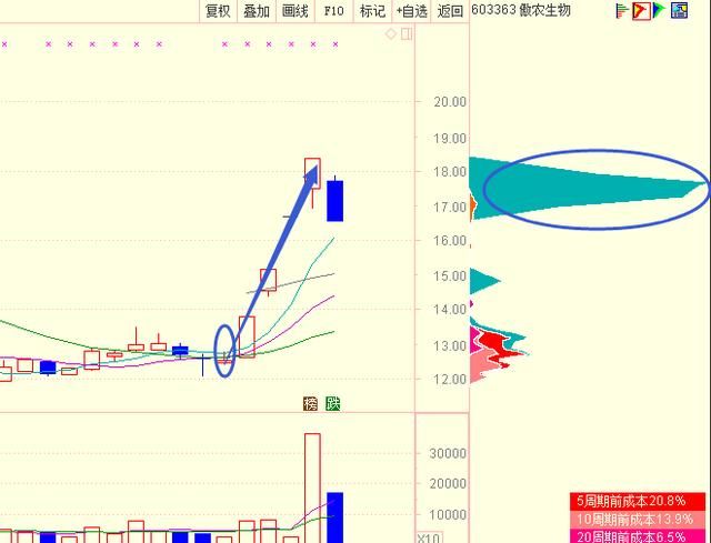 中国芯片第一妖股跌至7元,遭大股东万亿抢筹,