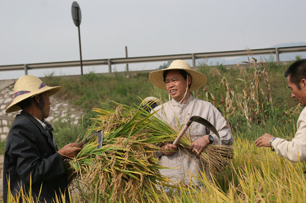 “农民教授”朱有勇让这个贫困小村庄有了大批“博士后” “农民教授”朱有勇让这个贫困小村庄有了大批“博士后”