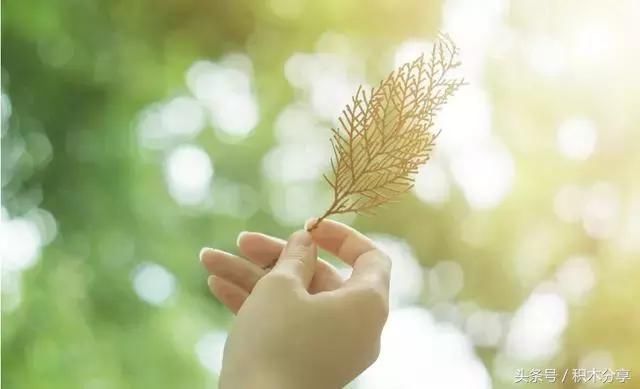 一句话的简单心情说说 心情失落的签名