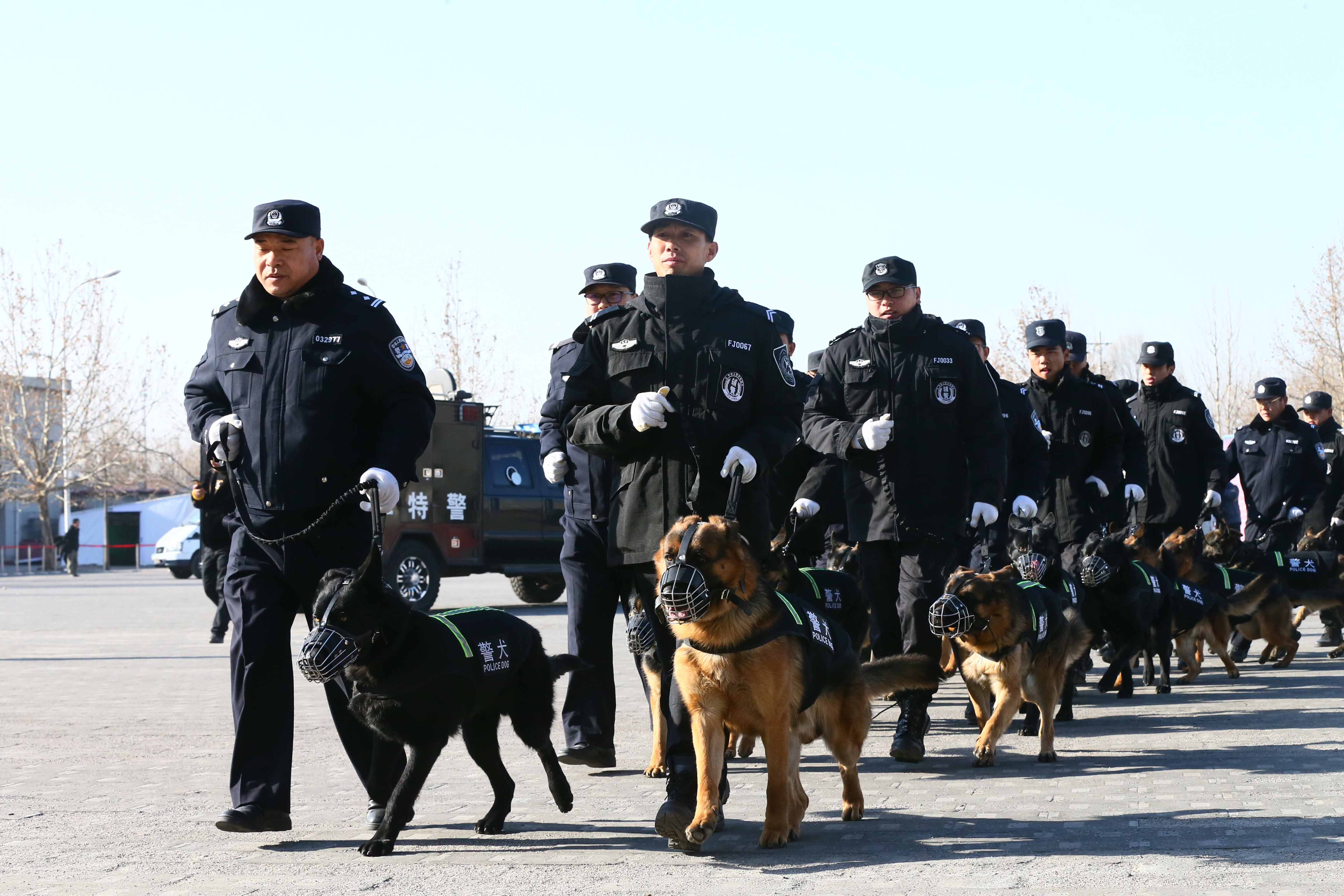 《反恐怖主义法》颁布三周年!人人参与的全民