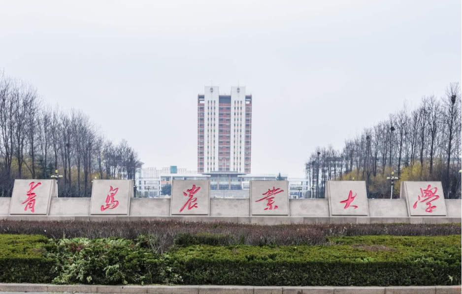 考研率最高的3所大学,氛围好毕业工资高,进一