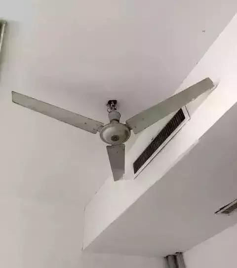 每次上完厕所全家都给我鼓掌喝彩…