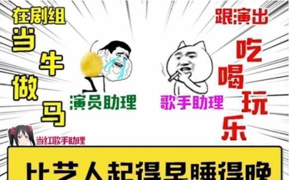 收入最高的明星_明星助理收入(2)