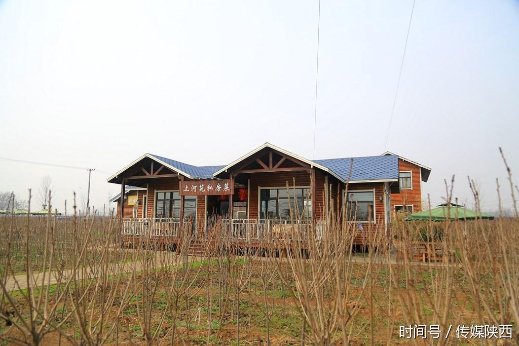 三秦优品 泾渭上河苑 一千多双手种下五百多株