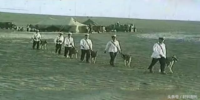 Image result for åˉ»æ¾å½-å æ¨