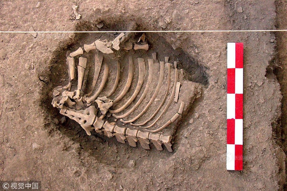 考古学家发现3000年前人类遗骸