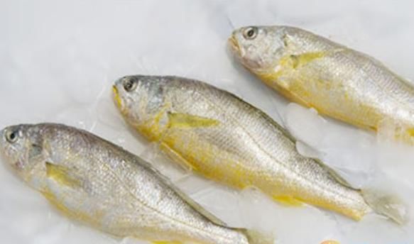 2,黄花鱼 黄花鱼是一根独刺,可以避免因为鱼刺卡到喉咙的问题,黄花鱼