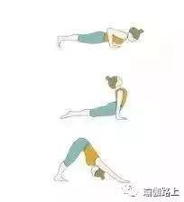 瑜伽四柱、上犬、下犬怎么做才标准?来看看瑜
