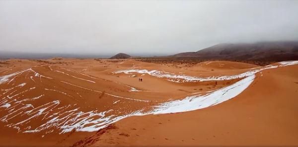 撒哈拉沙漠竟然积雪40公分,世界天气变的诡异