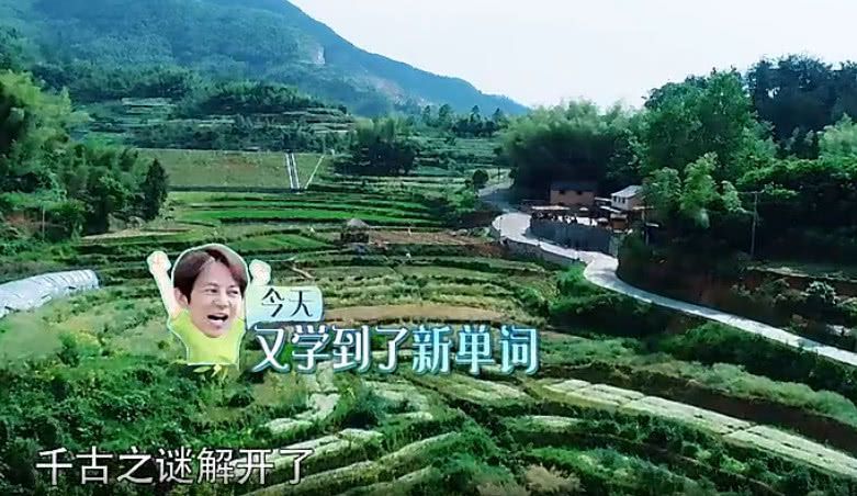 向往的生活何炅解锁新单词,好吃车的背后是方