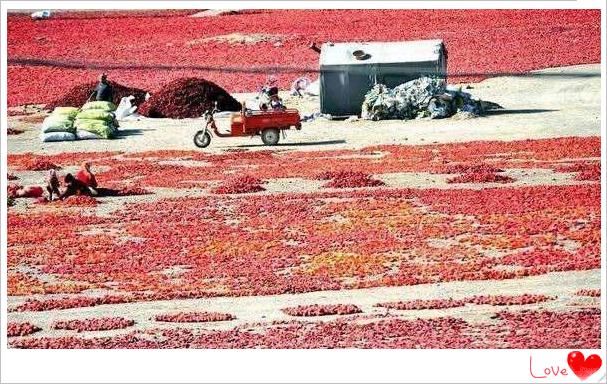 年销量六亿瓶的老干妈,你知道每年消耗多少吨