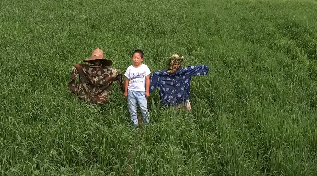 “等你爱我”系列宣 (一) “等你爱我”系列宣 (一)