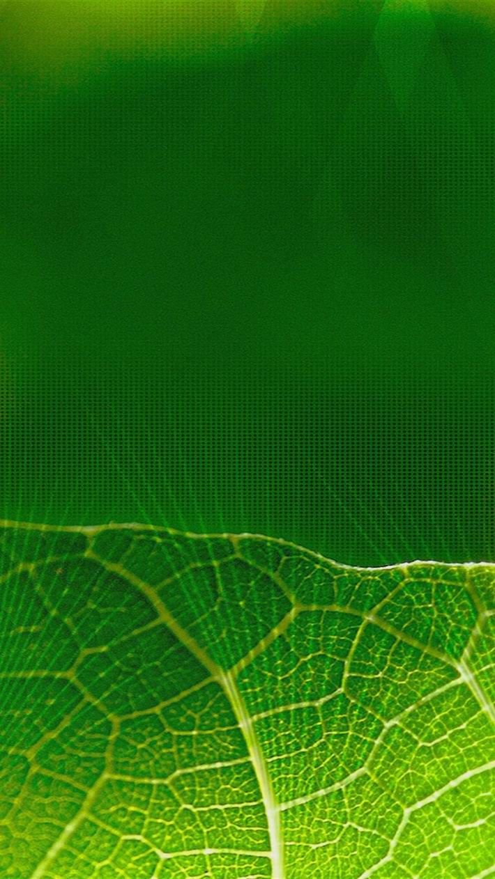 中兴AXON官方壁纸,中兴挺住,你是最好的!