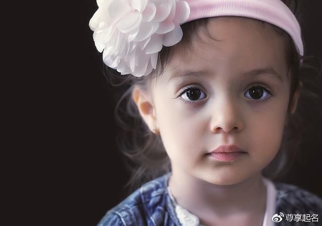 2018年女孩狗宝宝起名, 清晰淡雅、含蓄高贵的