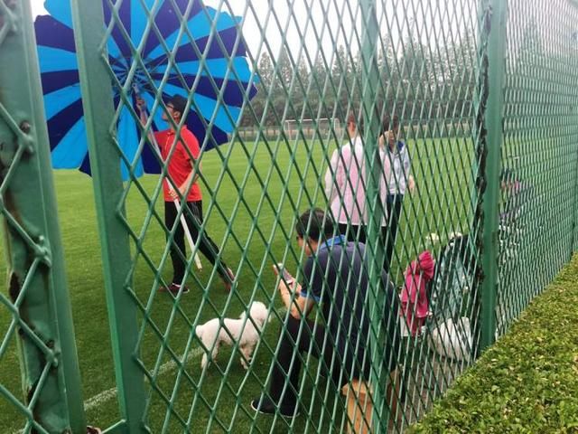 中国队终于拿足球比赛冠军了!周到君带你走进