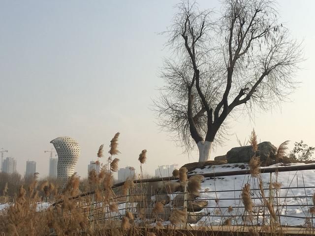 古诗词赏析 红藕香残玉蕈秋