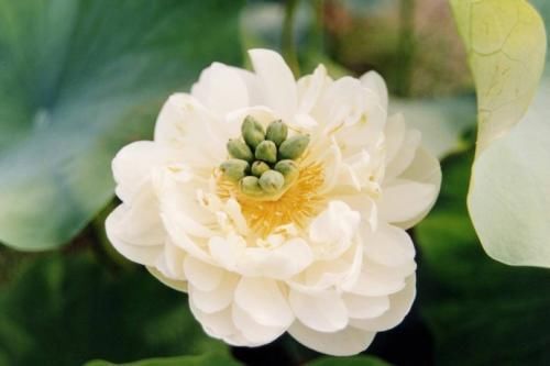 时间匆匆如流水,10首关于珍惜时间的古诗词,美