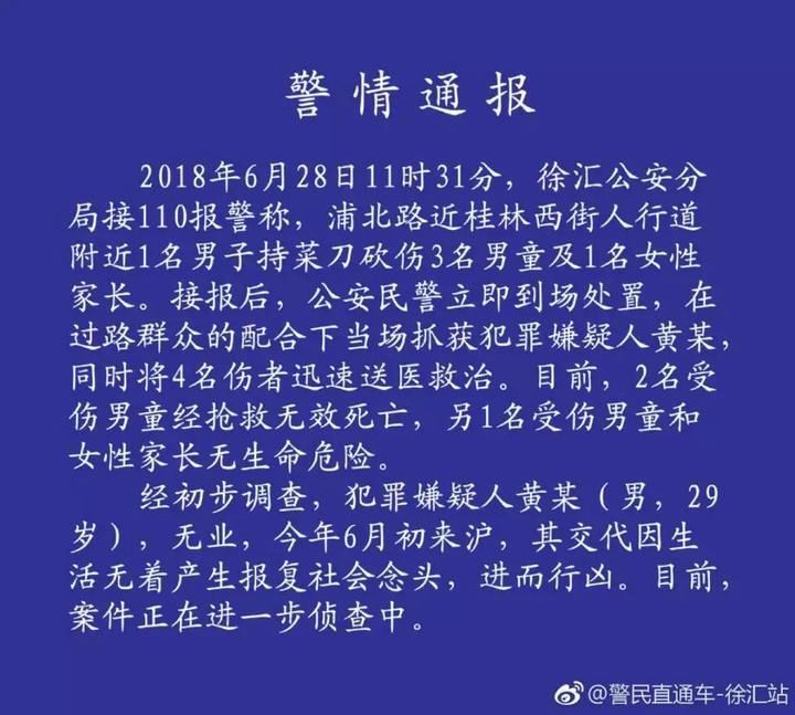 上海街头发生砍人事件致2名男童死亡