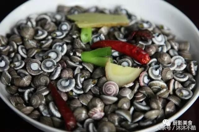 奉化当地小海鲜 宁波人本地人不一定都吃过,你