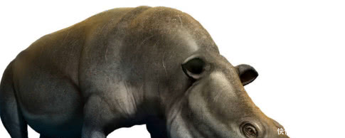 5种独特的史前物种,第三种存在于上千万年前,至今仍被目击到