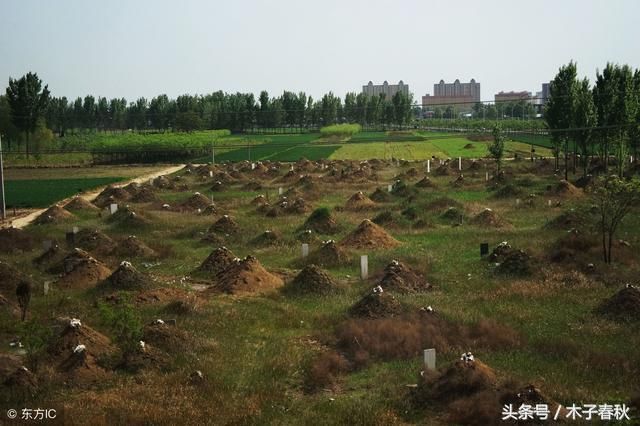 农村推行公墓改革,火葬替代土葬势在必行,为何