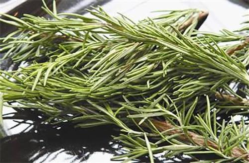 有5个症状,说明头螨成灾,日常1小方法灭了它