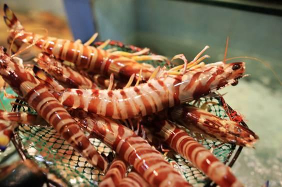 台州温岭松门稀奇古怪的海鲜们~你都认识吗?