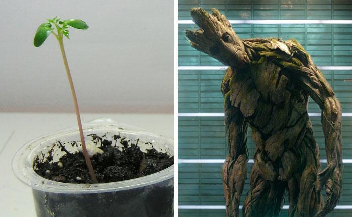 复仇者联盟,各演员童年照片,钢铁侠打满分,奇异