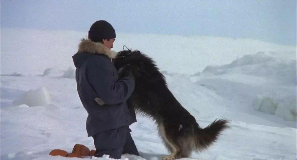 《南极之恋》为什么要去南极实拍?那些南极电