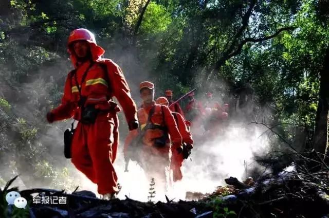 公安消防部队、武警森林部队将转制新组建的应
