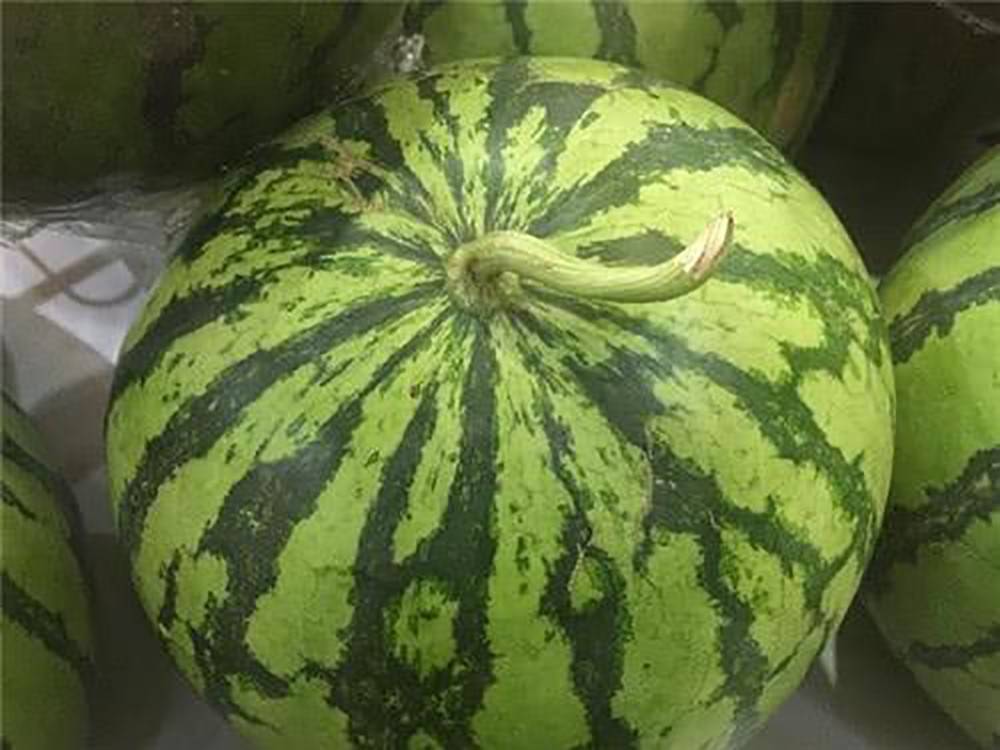 怎么样挑西瓜最甜图解 t0118fdadcb75782e6c.jpg?size=1000x750