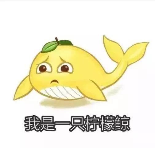 啥叫生存的意义 t01192f91148df04dde.jpg?size=505x480