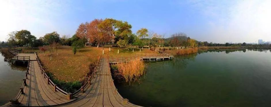 天气这么好,去武汉这些新景打卡要趁早!