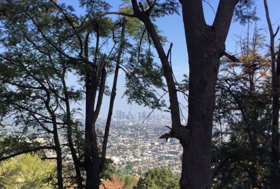 美国 | 2018洛杉矶旅行必玩景点指南