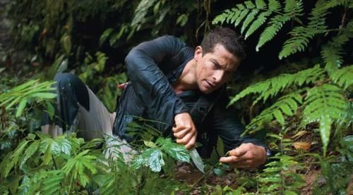 贝爷连那么恶心的虫子都吃,为何身体却安然无