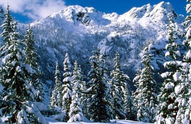 有色金属又一白马股浮现,业绩利好暴增45倍,1