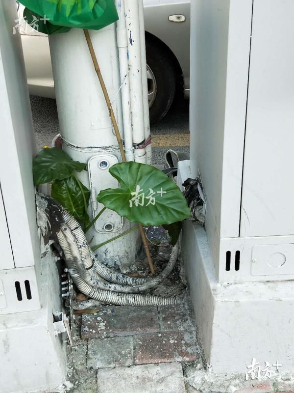 追问疑似被电击死亡事件:市民暴雨天上街安全